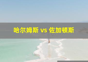 哈尔姆斯 vs 佐加顿斯